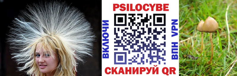 ссылка на мегу tor  Шимановск  Псилоцибиновые грибы прущие грибы  где продают  